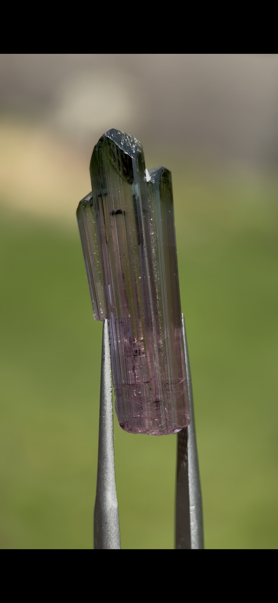 Aricanga Tourmaline, 14.30ct